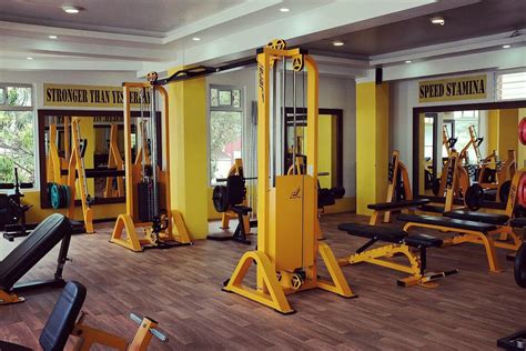 box like metal frame found in most well equipped gyms|escape gym frame.